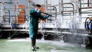 cattle-cleaning-stable-detergents-disinfectants-hygiene-stable-equipment-water-clothing-protection
